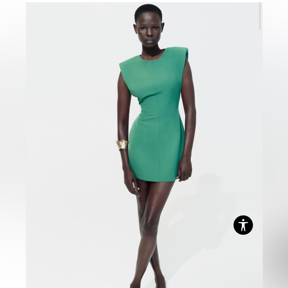 Zara dress